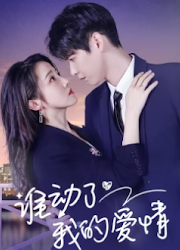 Shei Dong Le Wo De Ai Qing China Web Drama